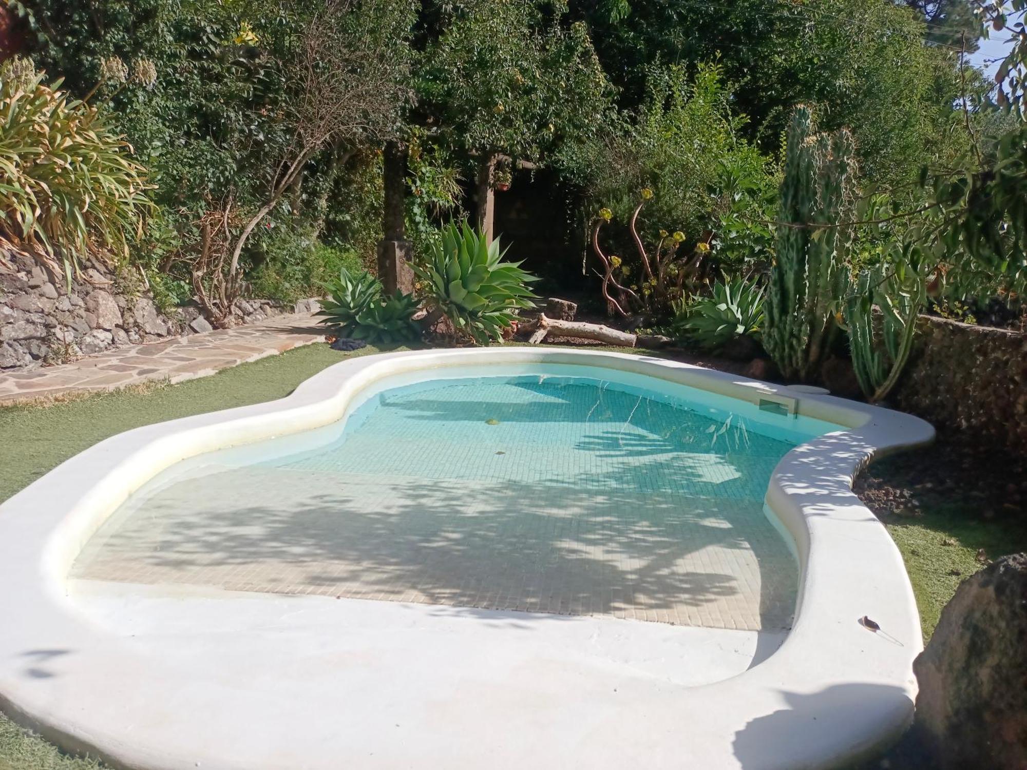 Los Matos, Canarian House In Valleseco Exteriör bild